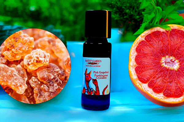 Bastet's Garden N through Z