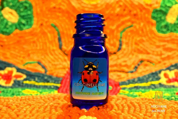 *NEW* Valentine Limited 2026 Coccinellidae Perfume Oil