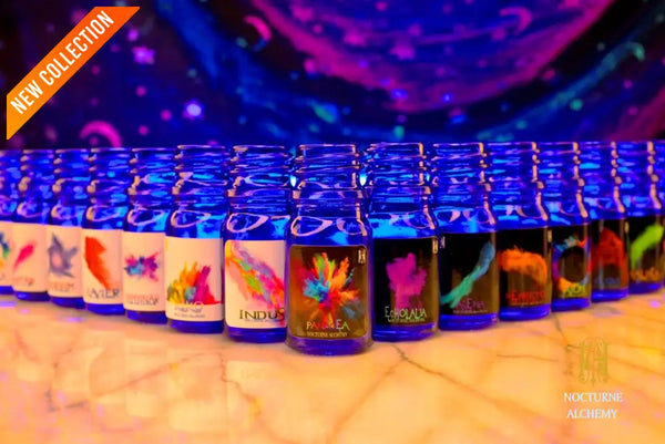 Group of all COLOURS 5ml